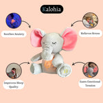 Load image into Gallery viewer, Family Pack – Your Soothing Companions for Inner Peace
