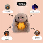 Load image into Gallery viewer, The Soothing Bunny – Your Companion for Inner Peace

