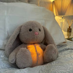 Load image into Gallery viewer, The Soothing Bunny – Your Companion for Inner Peace
